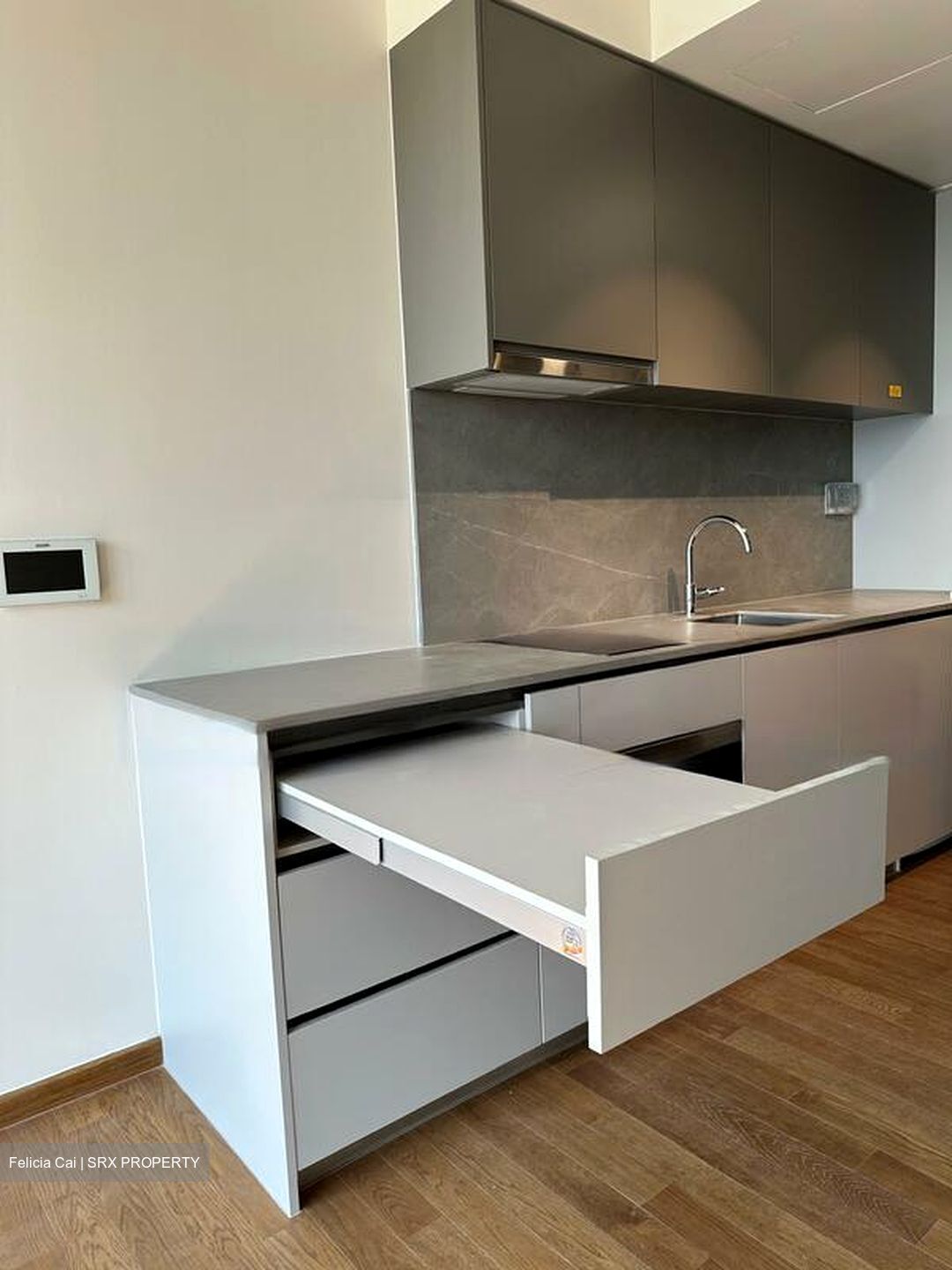 Parc Clematis (D5), Apartment #570450751